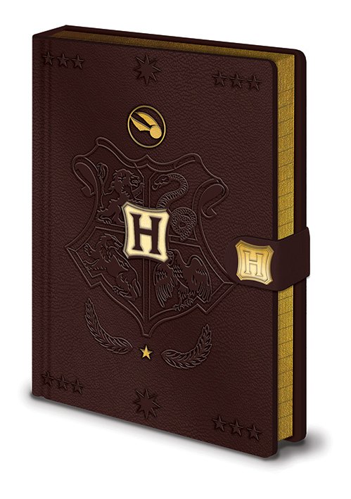 Записная книжка Harry Potter (Quidditch) Premium A5 SR72883