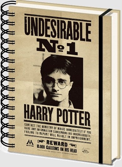 Записная книжка Harry Potter (Sirius & Harry) 3D Cover A5 Wiro SR72657