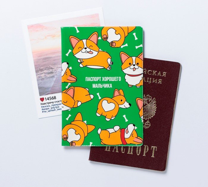 Обложка для паспорта "Паспорт хорошего мальчика"